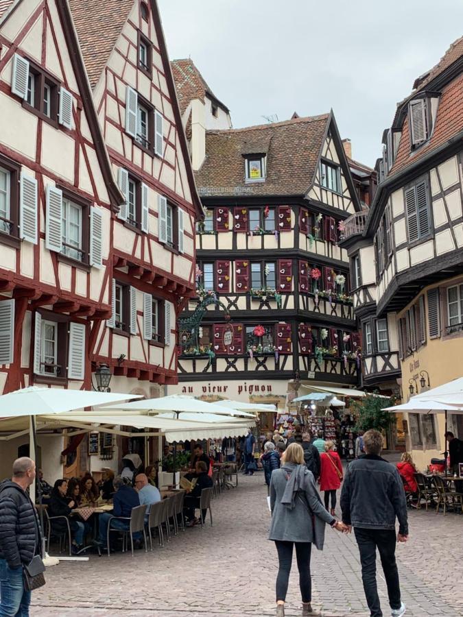 Historical Town Center Cosy Flat Lägenhet Colmar Exteriör bild
