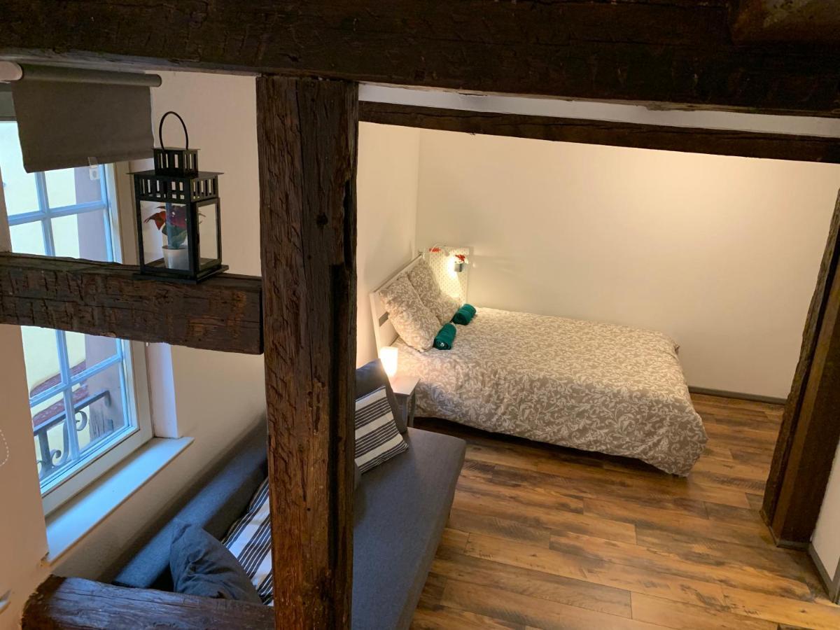 Historical Town Center Cosy Flat Lägenhet Colmar Exteriör bild